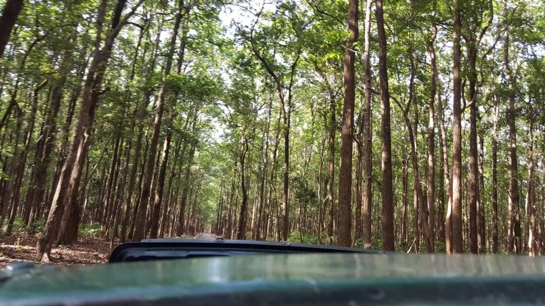 Jim Corbett, India
